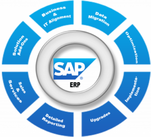 Sap software