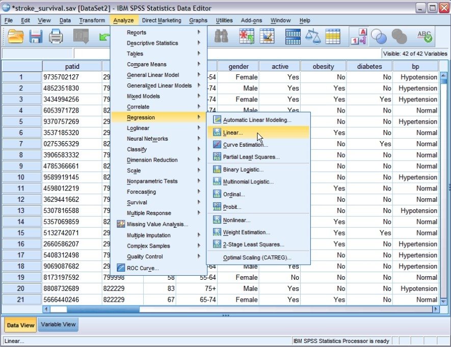 Spss download