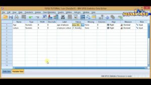 Spss software