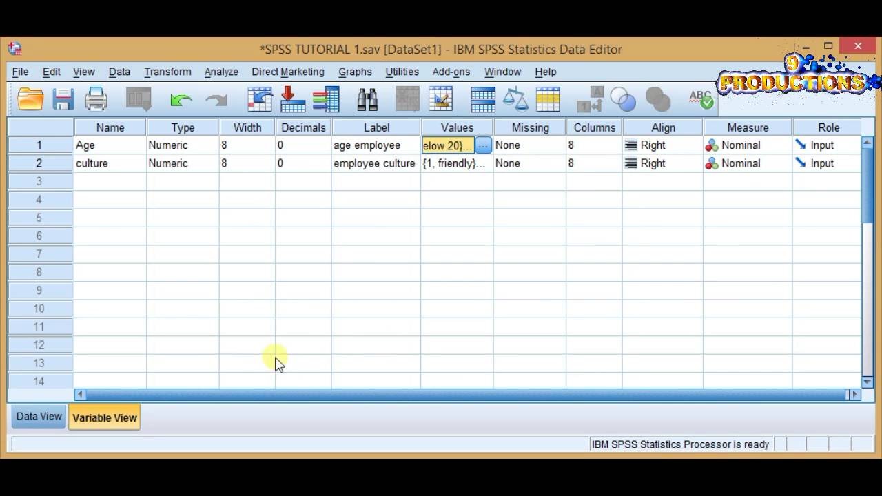 Spss software