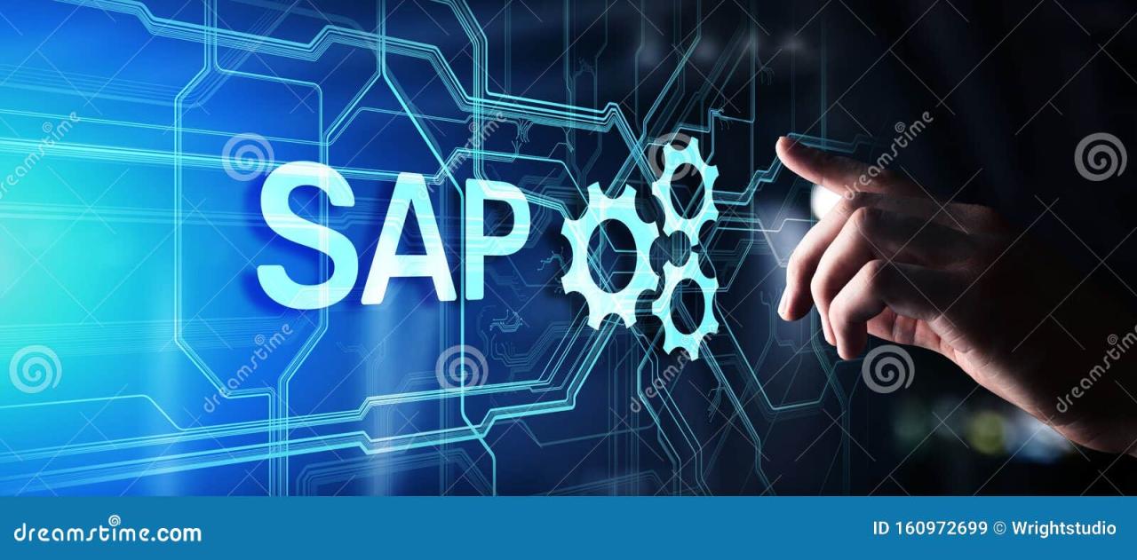 Sap software